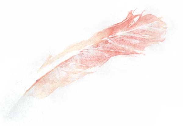 painted feather