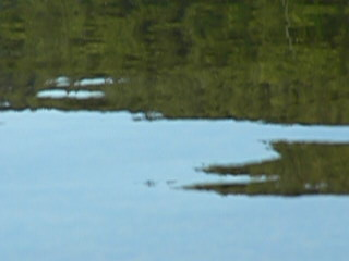 lake abstract