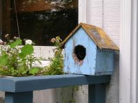 birdhouse blue