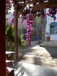 view of street, front porch of cafe todos santos