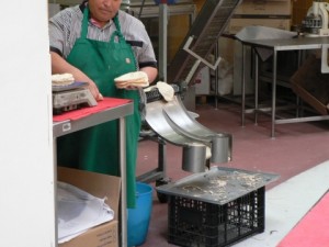 tortilla machine