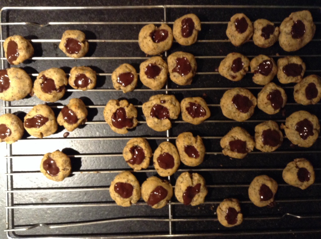 chocolate poppy seed cookies